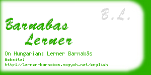 barnabas lerner business card